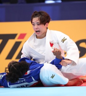 ニッセイプラス 少額短期保険 日本生命グループ