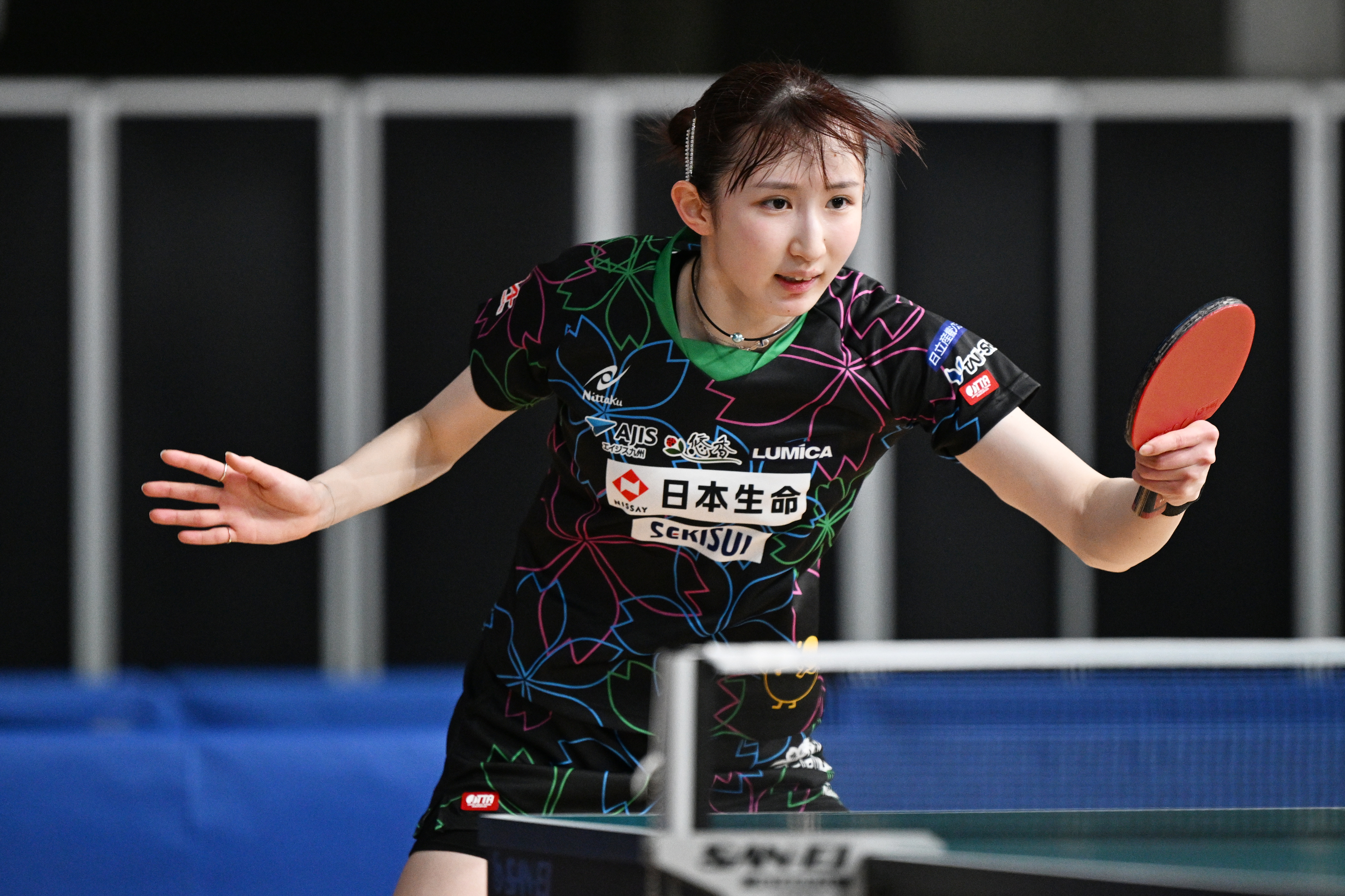 ニッセイプラス 少額短期保険 日本生命グループ