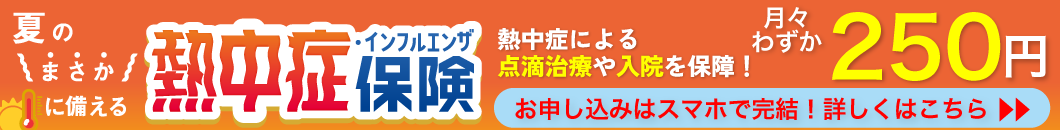 ニッセイプラス 少額短期保険 熱中症保険