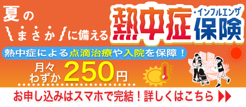 ニッセイプラス 少額短期保険 熱中症保険