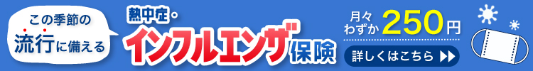 ニッセイプラス 少額短期保険 熱中症保険